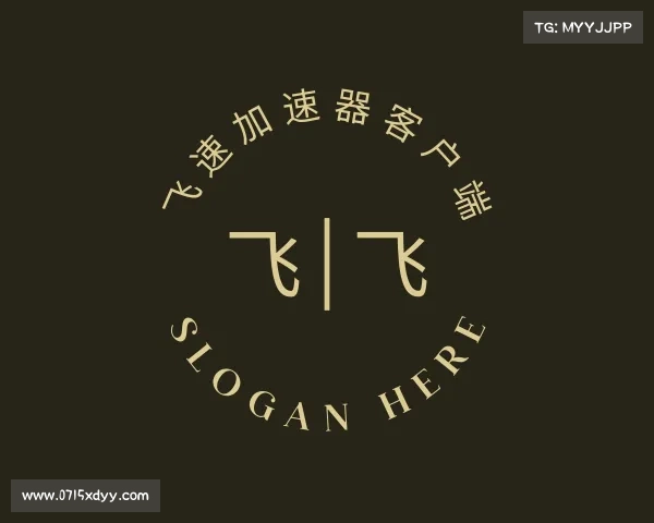 认识飞速加速器客户端